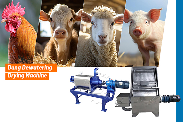dewatering machine for faster manure drying